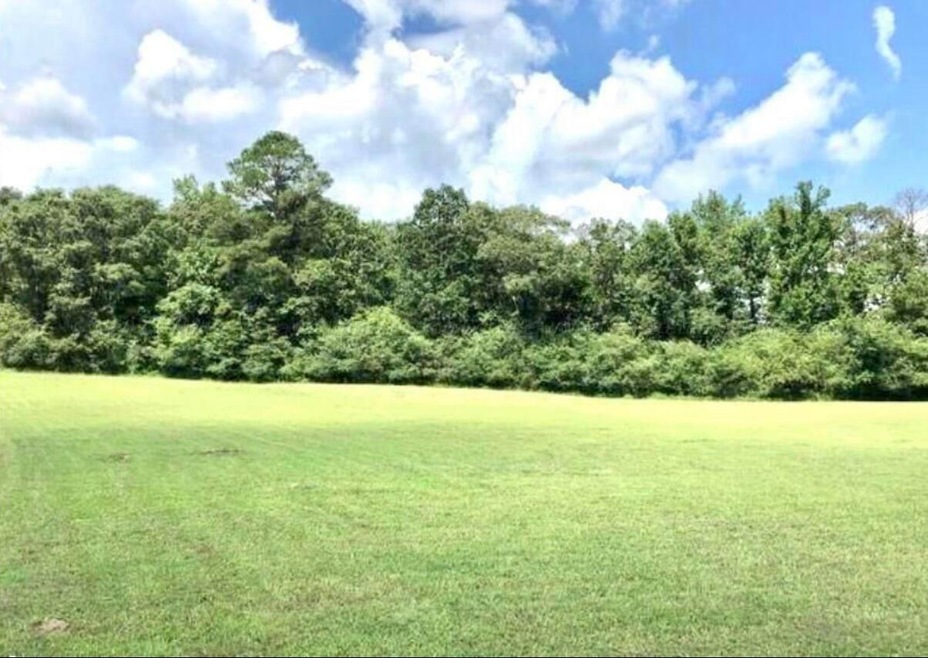 Lot view