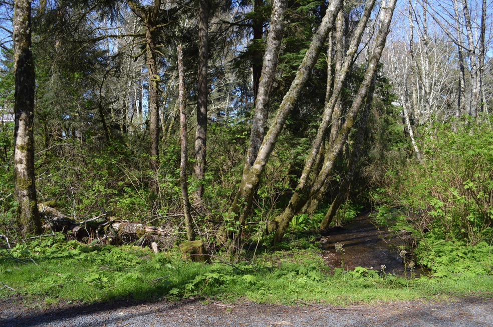 Lot from South Beach Road