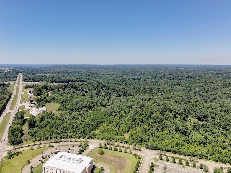 000 S Highway 61, Vicksburg, MS 39183 - photo 1