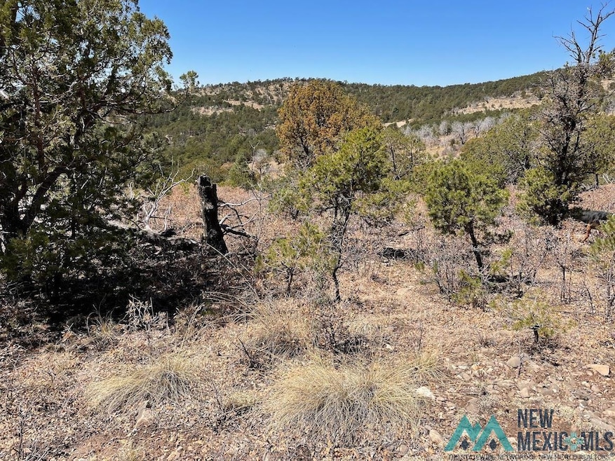 239 Anders Rd, Timberon, NM 88350 - photo 1