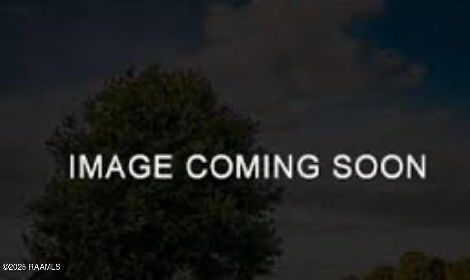 Tbd Louisiana 333, Abbeville, LA 70510 - photo 1