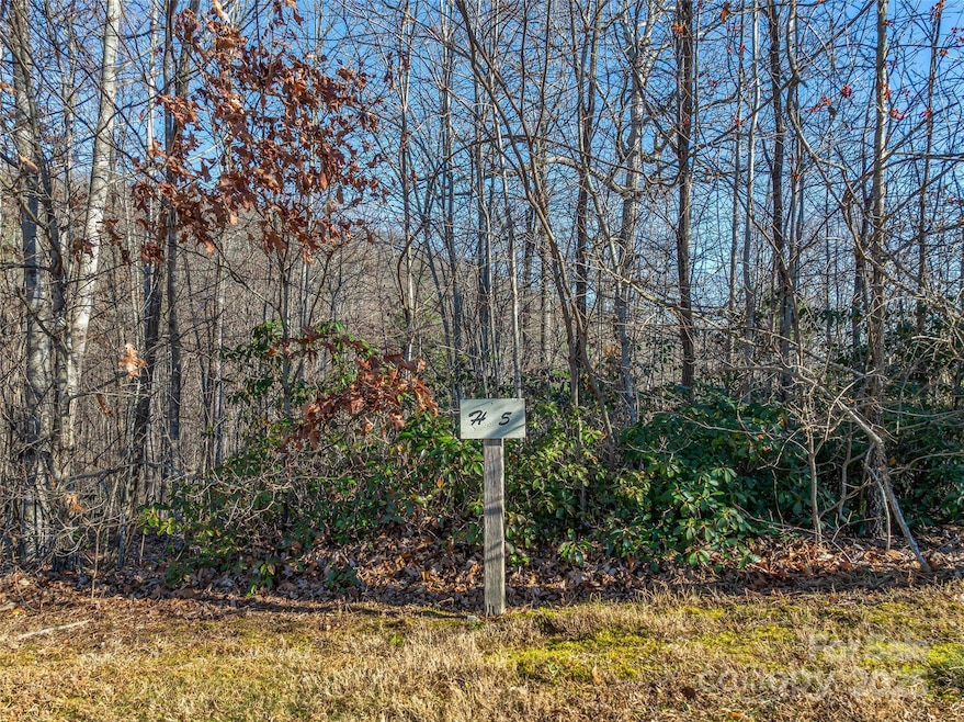 211 Ladys Fern Trail, Laurel Park, NC 28739 - photo 1