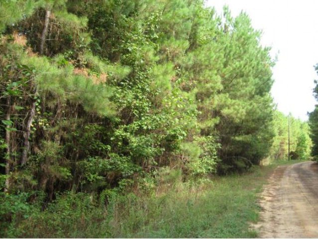 10.2 ac Hidden Leaf Trail, Nacogdoches, TX 75964 - photo 1