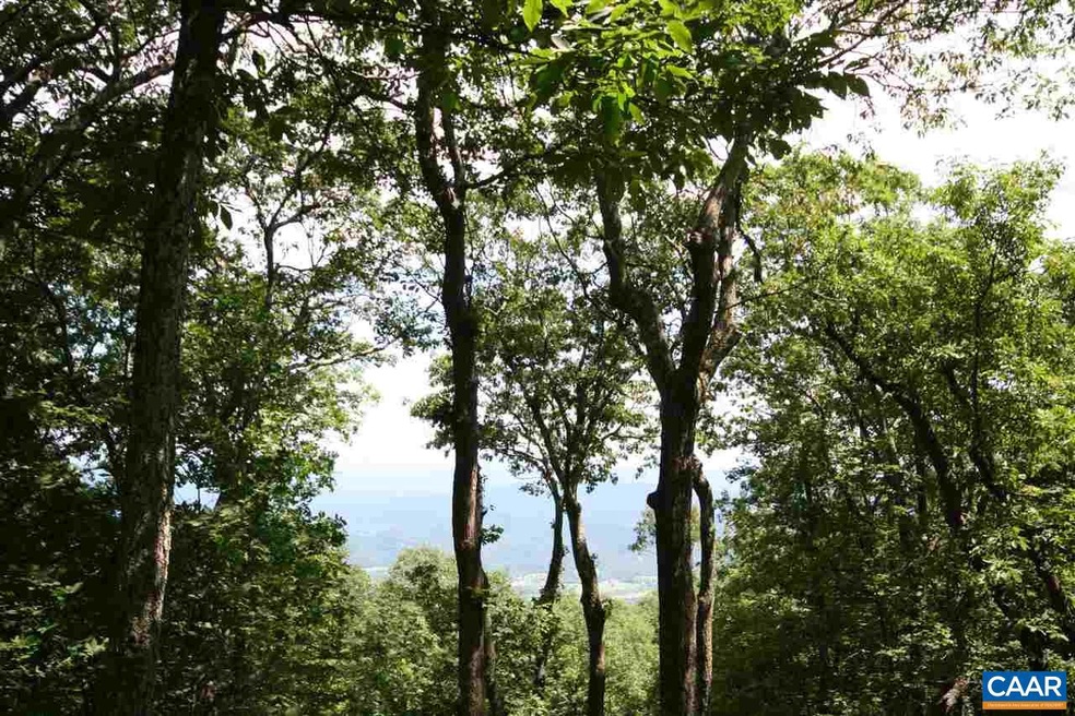 256 Pedlars Edge Dr unit 17, Rockfish, VA 22967 - photo 1