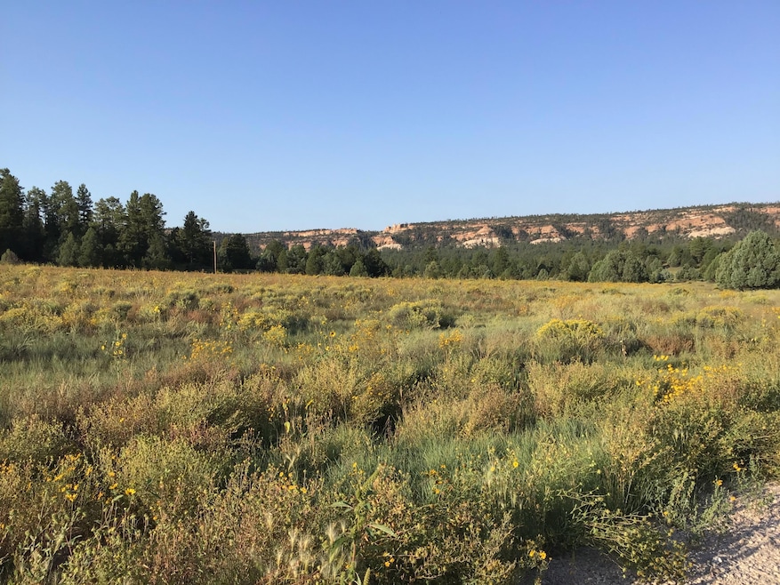 Lot 14 E Elk Dr, Ramah, NM 87321 MLS 1059575