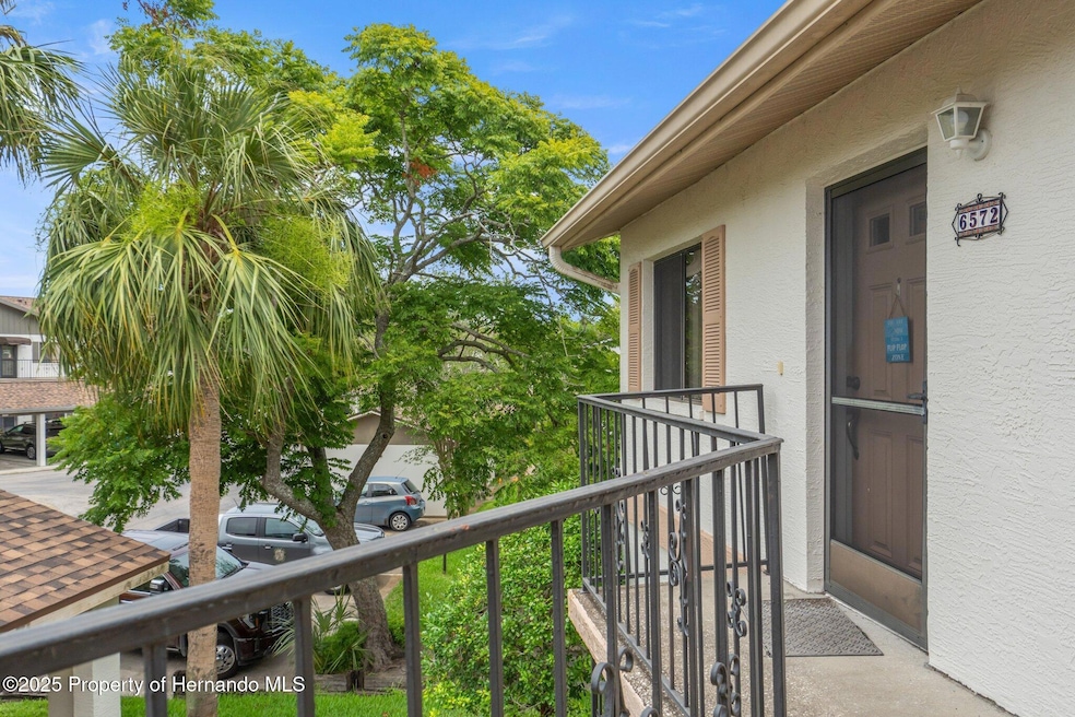 6572 River Run Blvd, Weeki Wachee, FL 34607 - photo 1