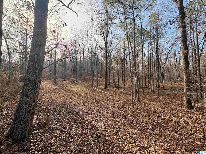 4540 Cabin Rd, McCalla, AL 35022 - photo 1