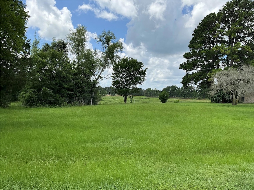 View of yard featuring a view of rural / pastoral area
