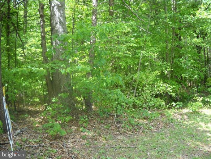 1029 Slash Pine Cir, Ruther Glen, VA 22546 - photo 1