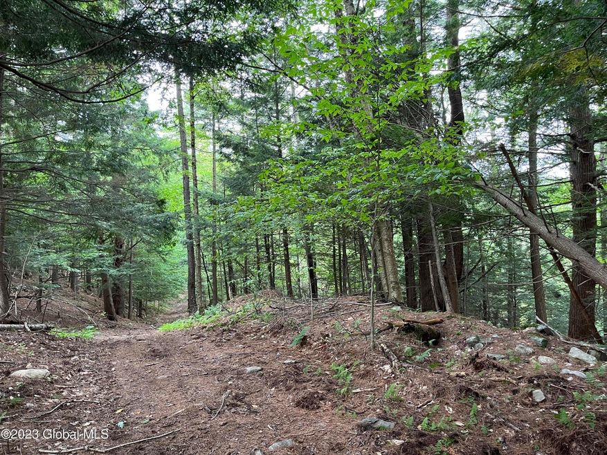 image_50770689 7 logging road