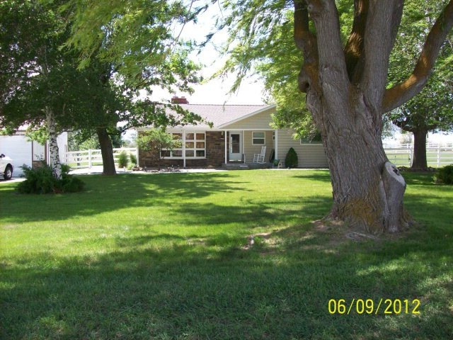 Main View