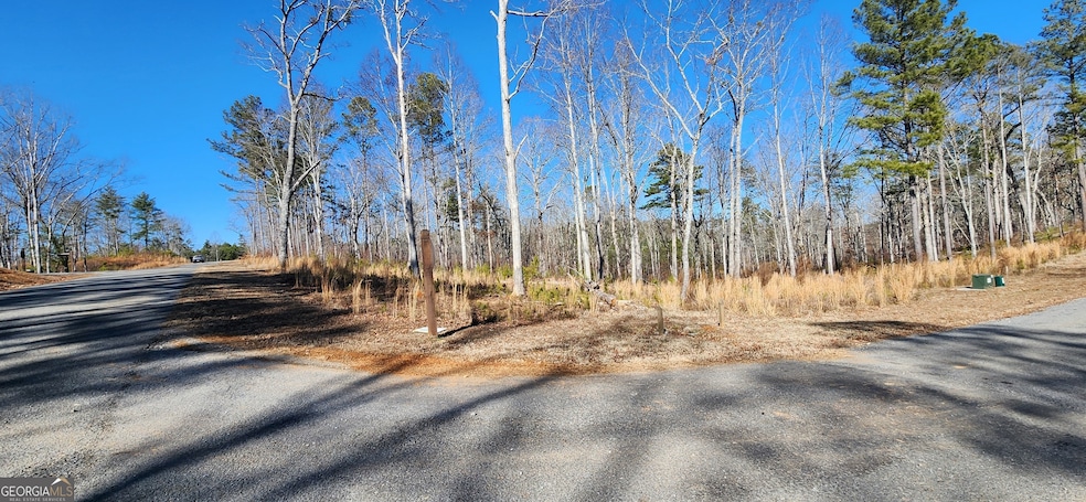 LT 143 High River Rd, Ellijay, GA 30540 - photo 1