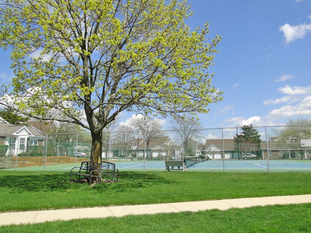 1601 Glengarry Ct unit 141, Algonquin, IL 60102 - photo 1