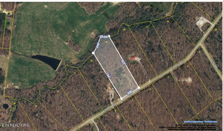Shelby Way #29-Aerial Pic