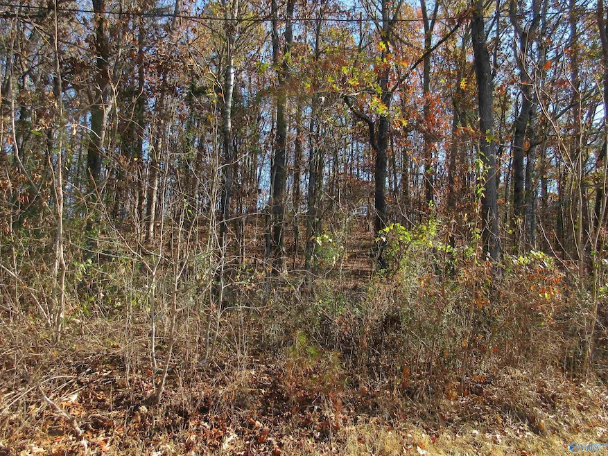 27 Sumner Dr, Scottsboro, AL 35769 - photo 1