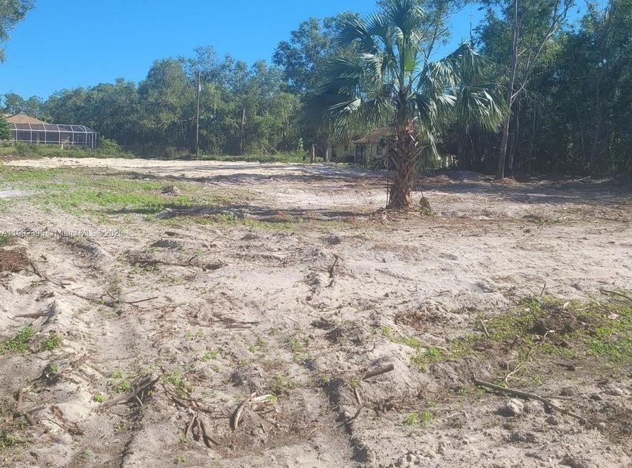 202 Monroe Ave, Lehigh Acres, FL 33936 - photo 1