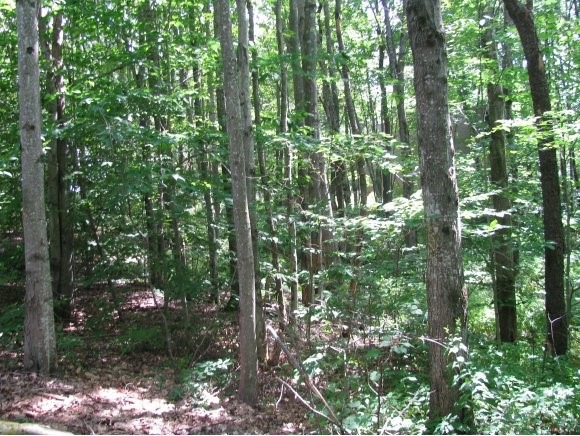 18 Webster Ln, Center Barnstead, NH 03225 - photo 1