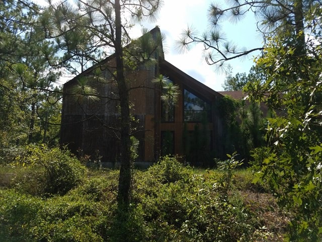 Main View