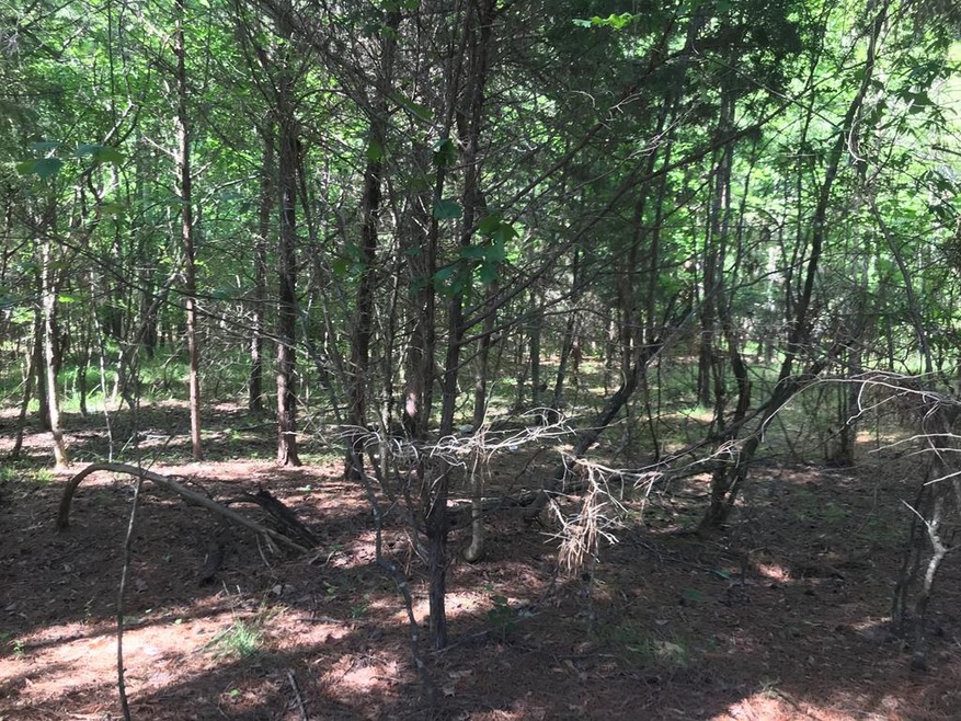 33.8 Ac Clay Hill Rd, Lincolnton, GA 30817 - photo 1