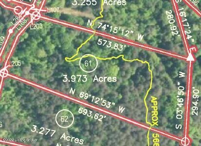 Lot View of Survey Plat