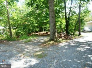 254 Lower View Rd, Strasburg, VA 22657 - photo 1