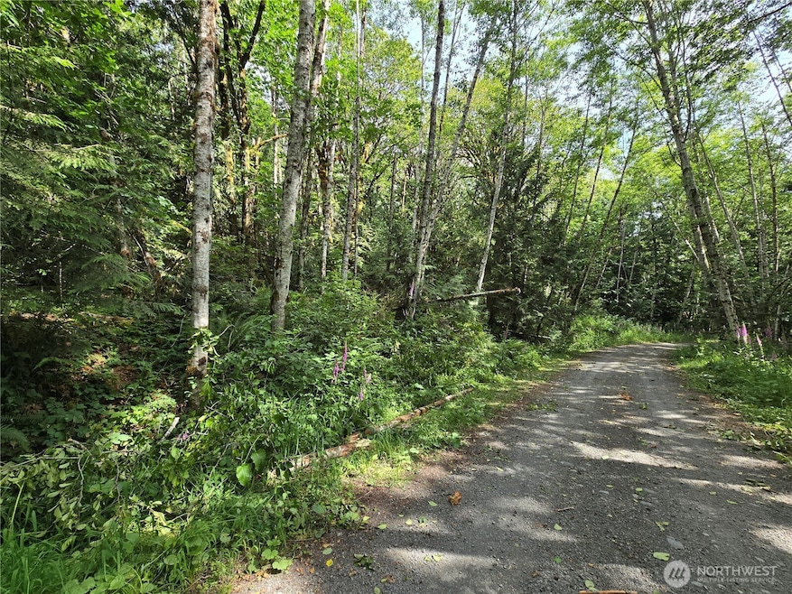 0 XXX N Triton Heights Rd, Lilliwaup, WA 98555 - photo 1