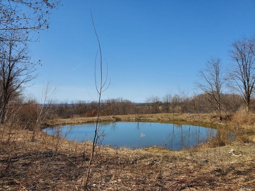 Build on nearly 8 acres of privacy above Skaneatel