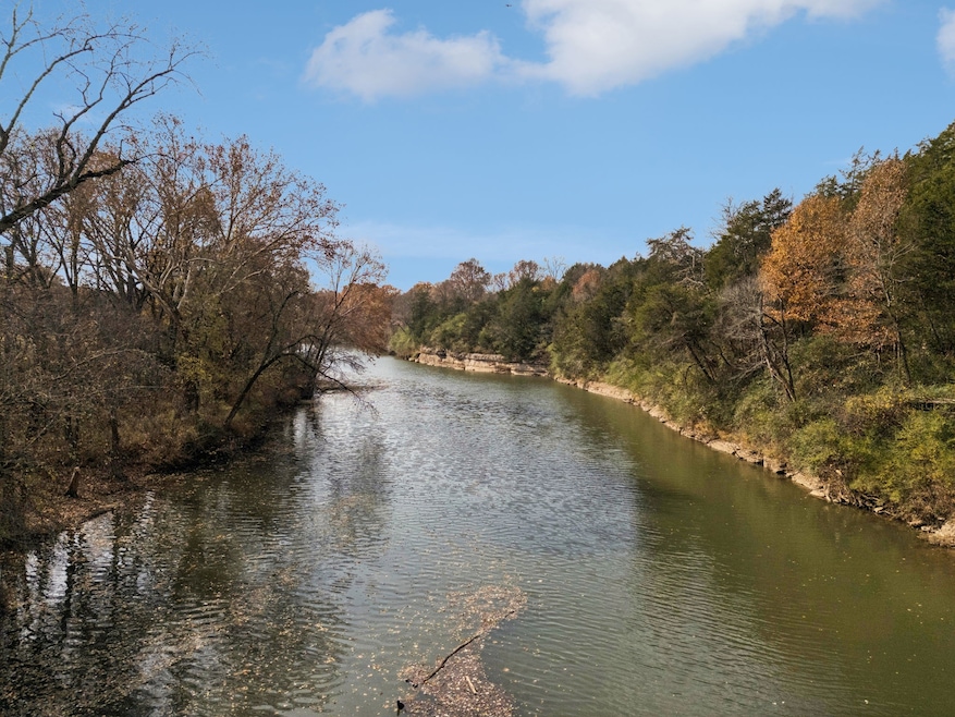 1560 River Rd, Chapel Hill, TN 37034 - photo 1