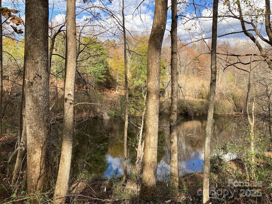 1638 Continental Divide Dr unit 2, Flat Rock, NC 28731 - photo 1