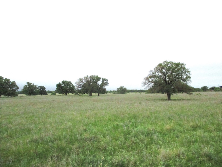 unlisted-address, Jacksboro, TX 76458 - photo 1