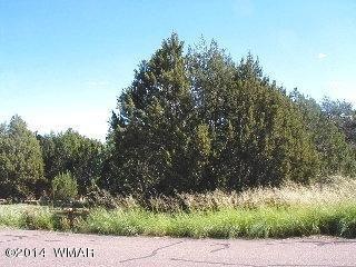 3411 Apache DR