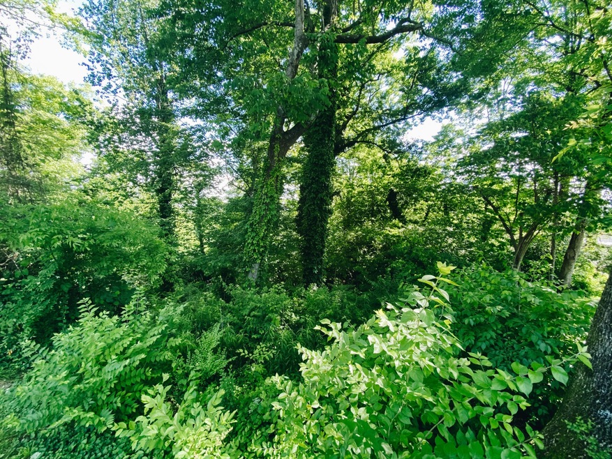 0 Red Oak Dr unit RTC2332729, Chattanooga, TN 37415 - photo 1