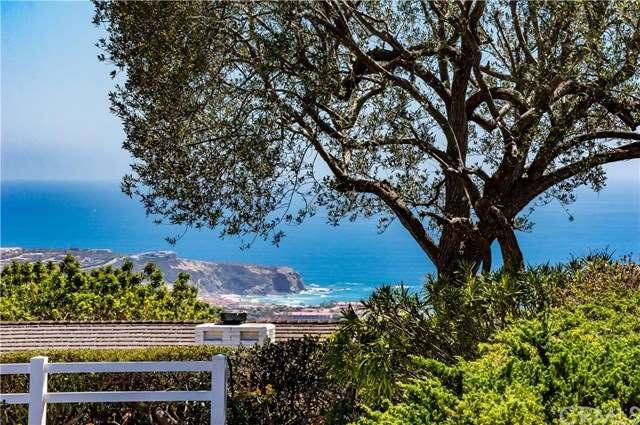 Gorgeous white water ocean view of Dana Point Head