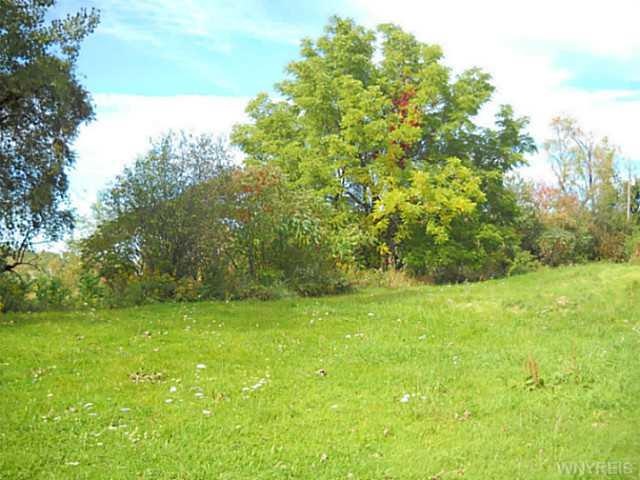 Land