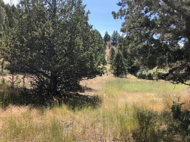 0 Lot 709 Patterson Dr unit 220104621, Canyon City, OR 97820 - photo 1