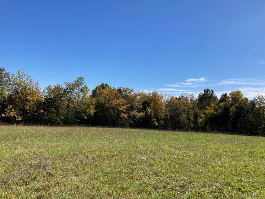 Tract 2 Combs Rd, Nixa, MO 65714 - photo 1