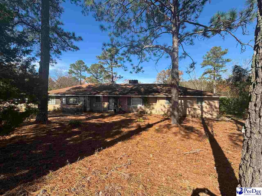 2436 E Home Ave, Hartsville, SC 29550 - photo 1