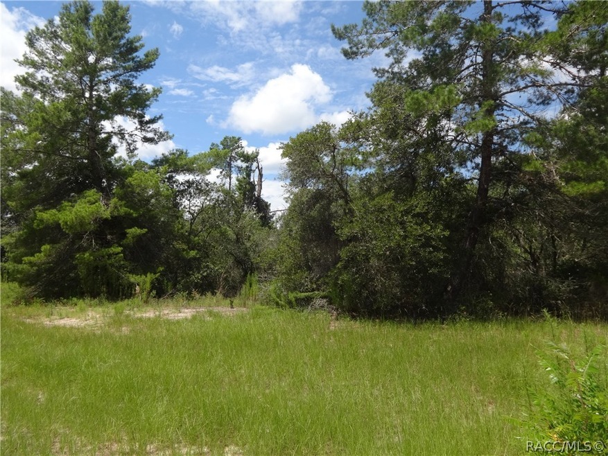 0 SW 175th Loop unit 775011, Ocala, FL 34473 - photo 1