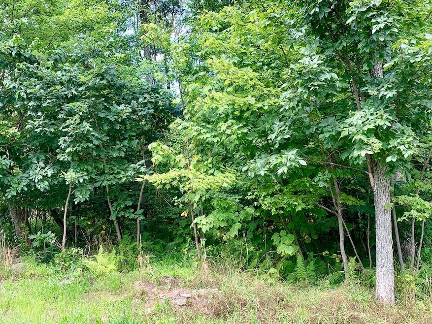 Lot 32 Woodberry Dr, Mountain Top, PA 18707 - photo 1