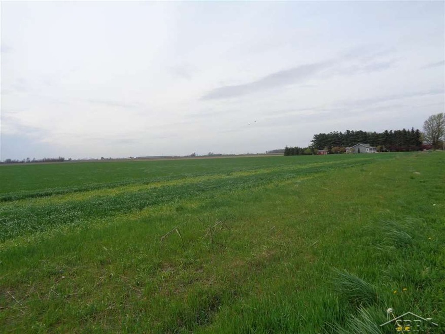 Parcel 4 S Vassar Rd, Vassar, MI 48768 - photo 1