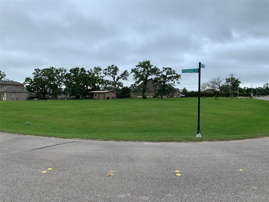 29750 Kiskadee Ln, Hockley, TX 77447 - photo 1