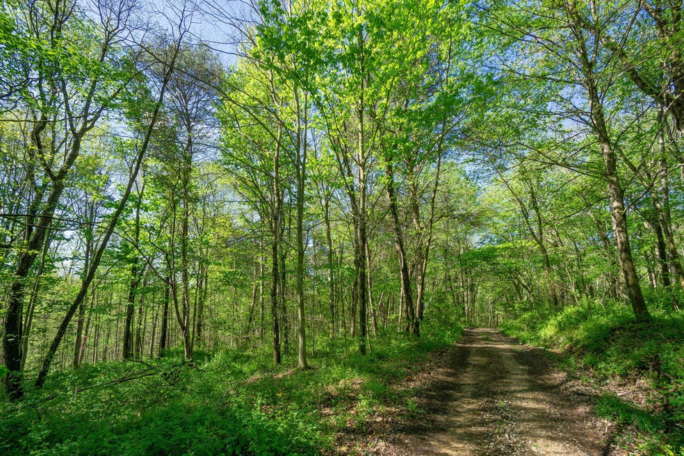 Lead Photo 33885 W. Buckingham Rd-02337