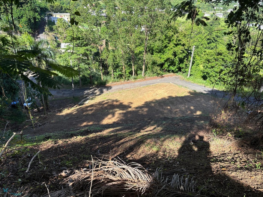 n/a Camino Los Ruiz unit n/a, Trujillo Alto, PR 00976 - photo 1