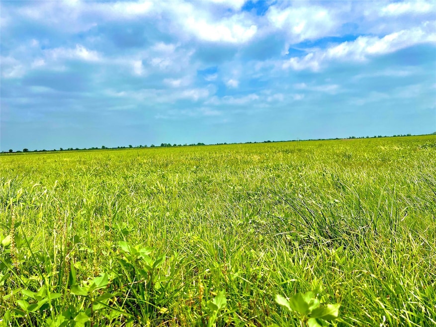 View of local wilderness with rural landscape