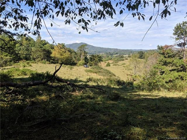 14 Old Newfound Rd, Leicester, NC 28748 - photo 1