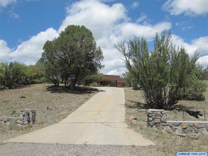 4450 N Arrowhead Rd, Silver City, NM 88061 - photo 1