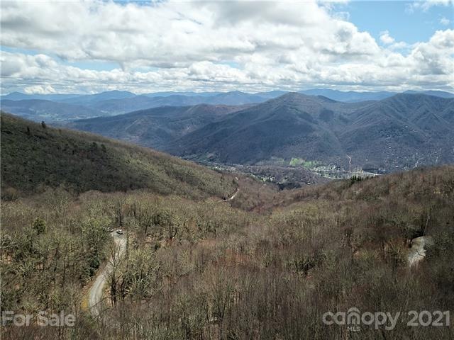 Drone photo of potential view in front of tree line