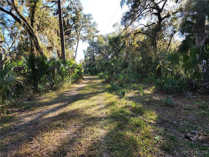 13022 E Shawnee Trail, Inverness, FL 34450 - photo 1
