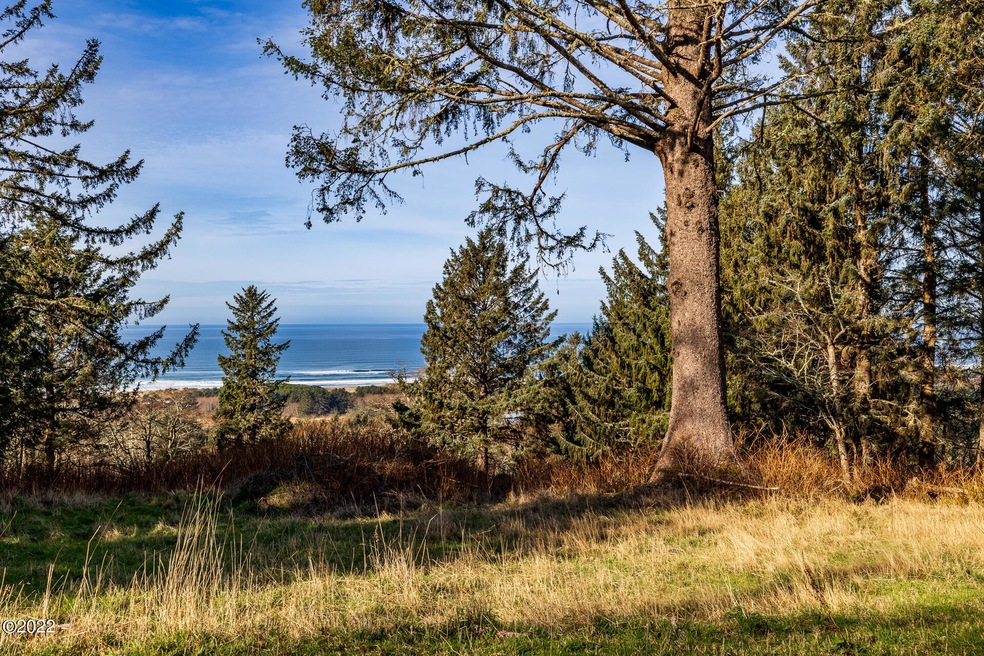 Ocean View Property