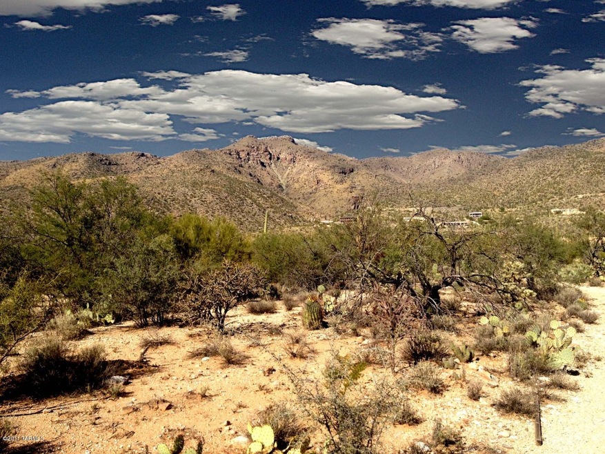 Catalina Mountain views